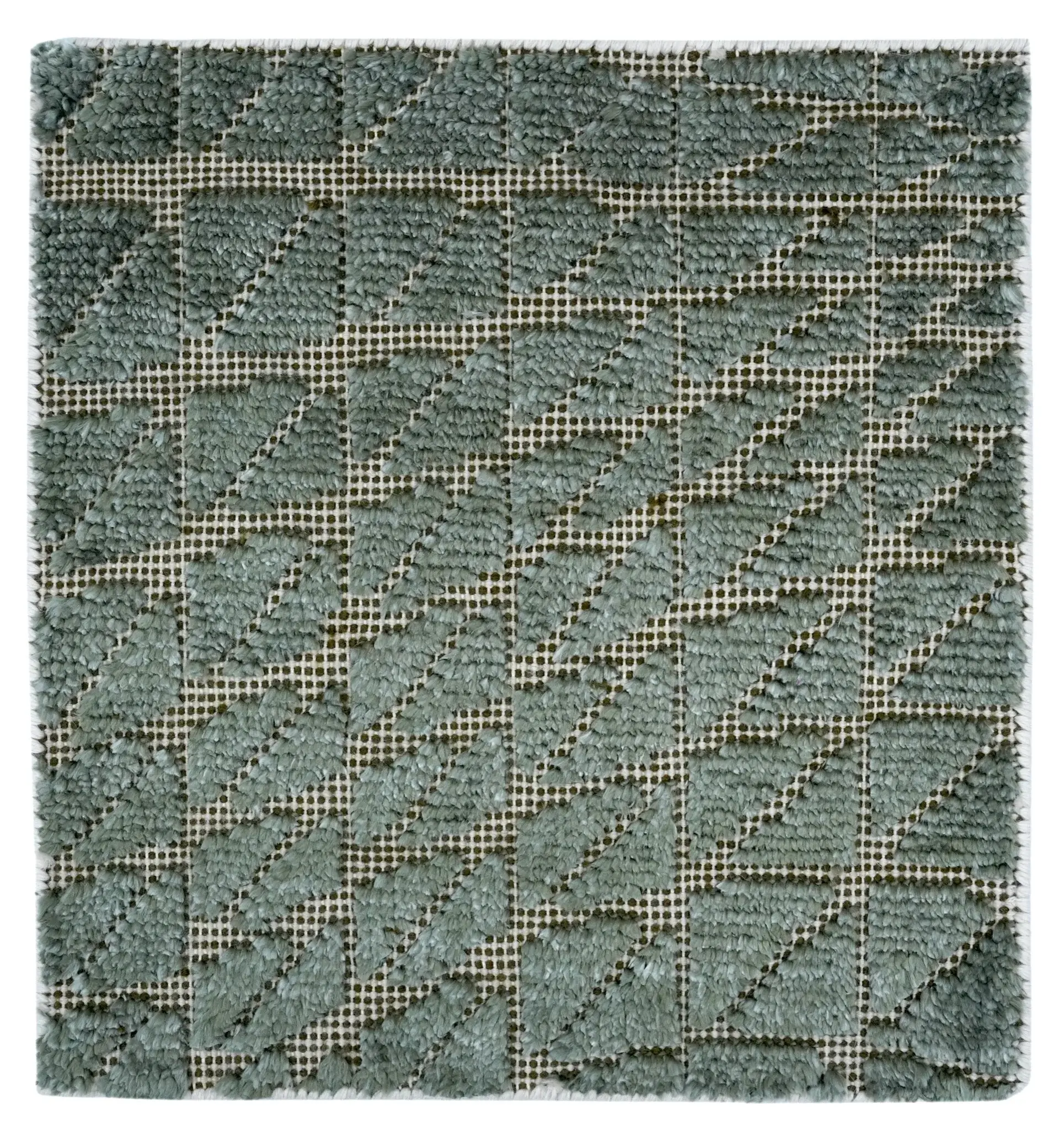 Rei Fern texture close-up