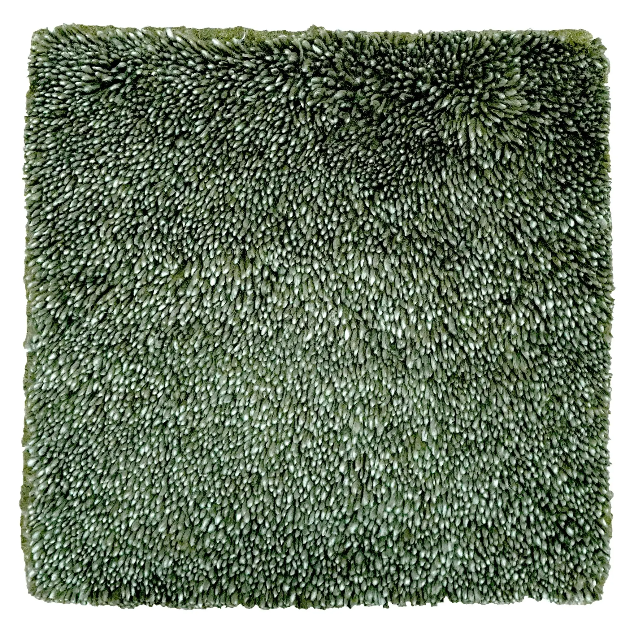 Sora Moss texture close-up