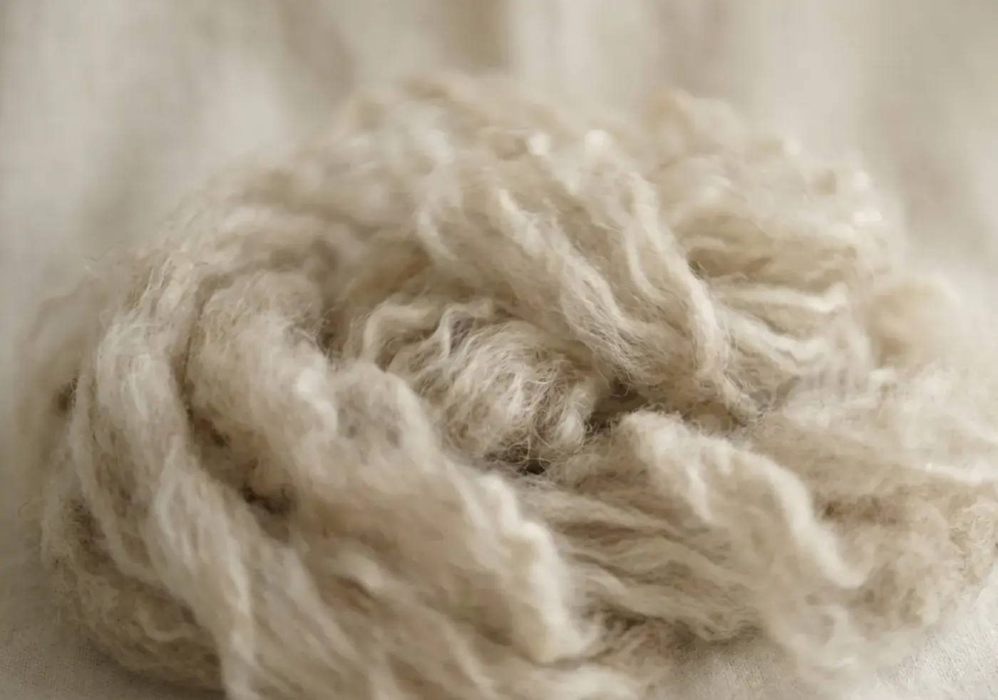 Cashmere blend fibers in gentle light